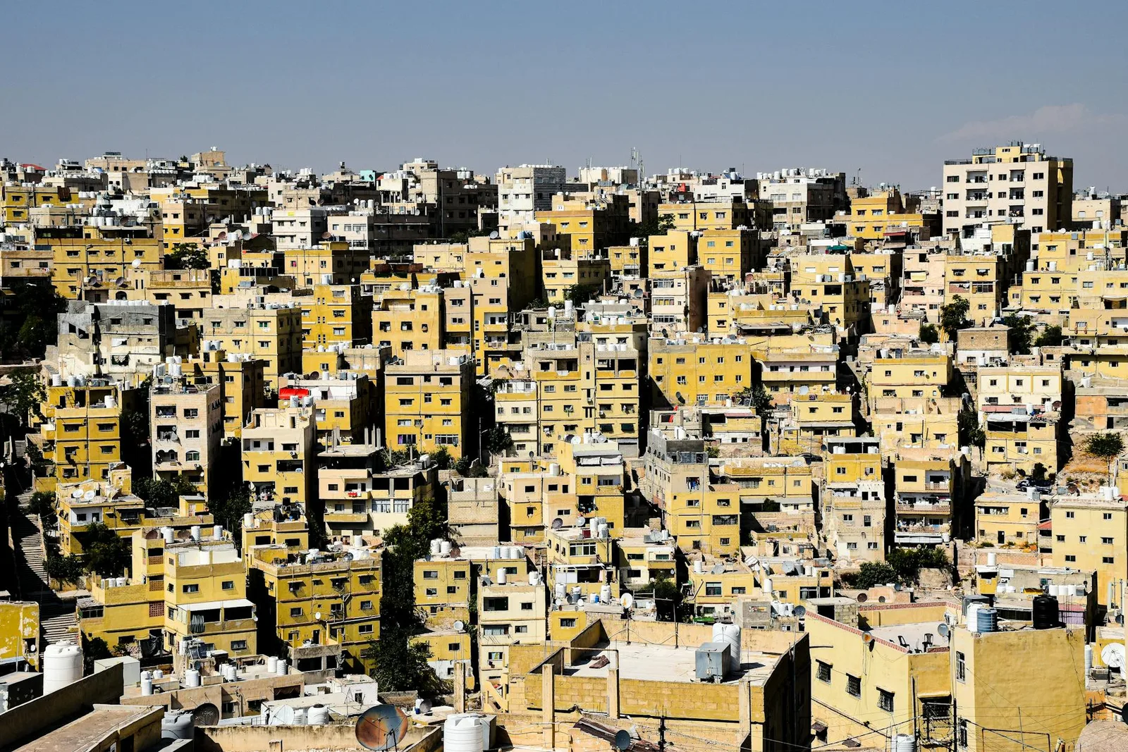 Best International Schools in Amman: The 2026 Guide for Families