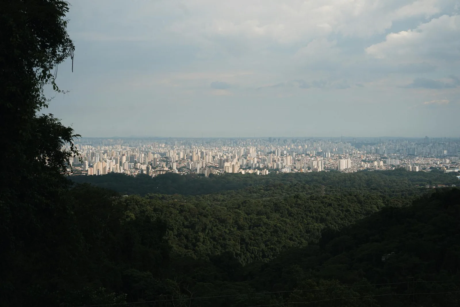 Best International Schools in São Paulo: The 2026 Guide for Families