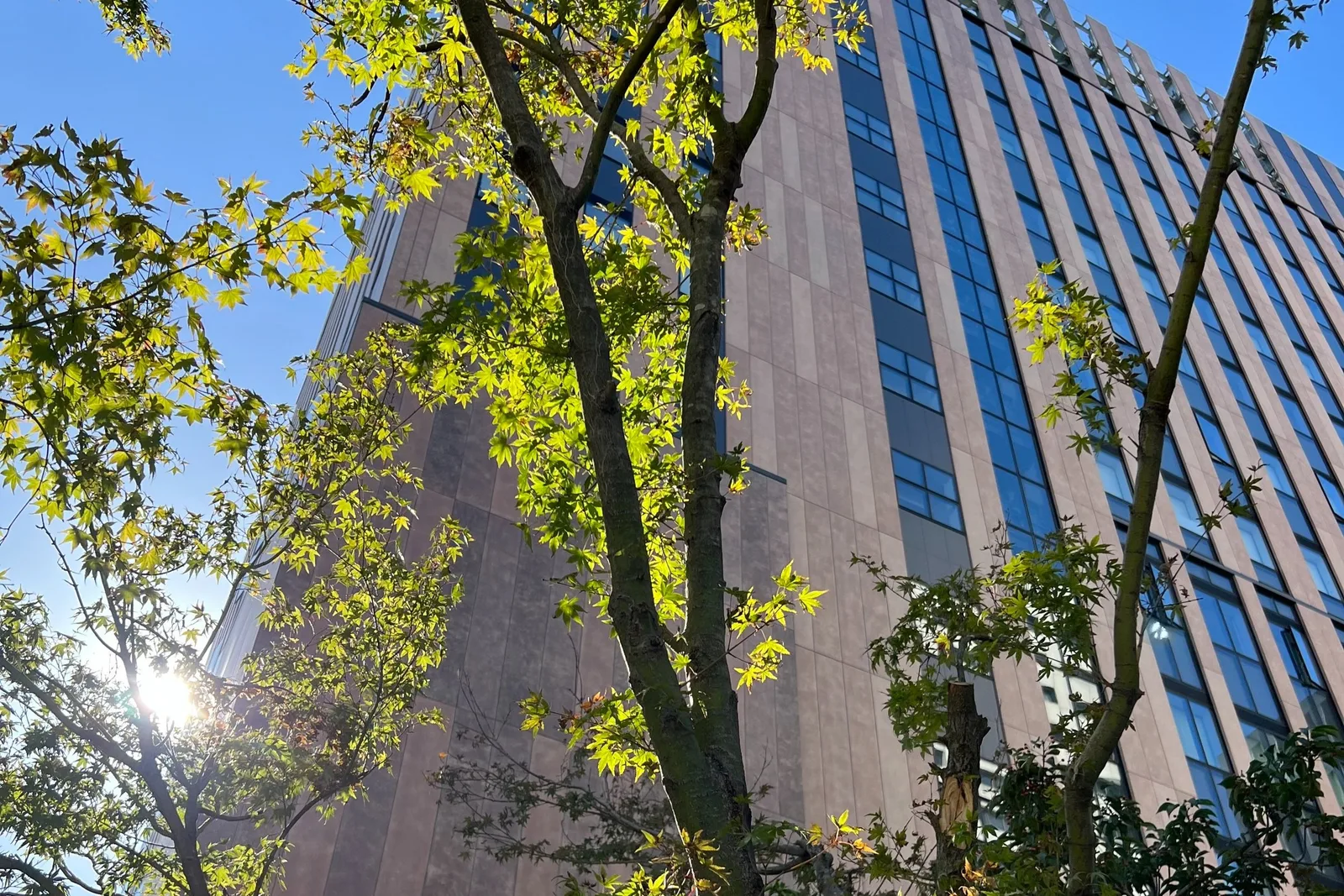 Laurus International School of Science campus