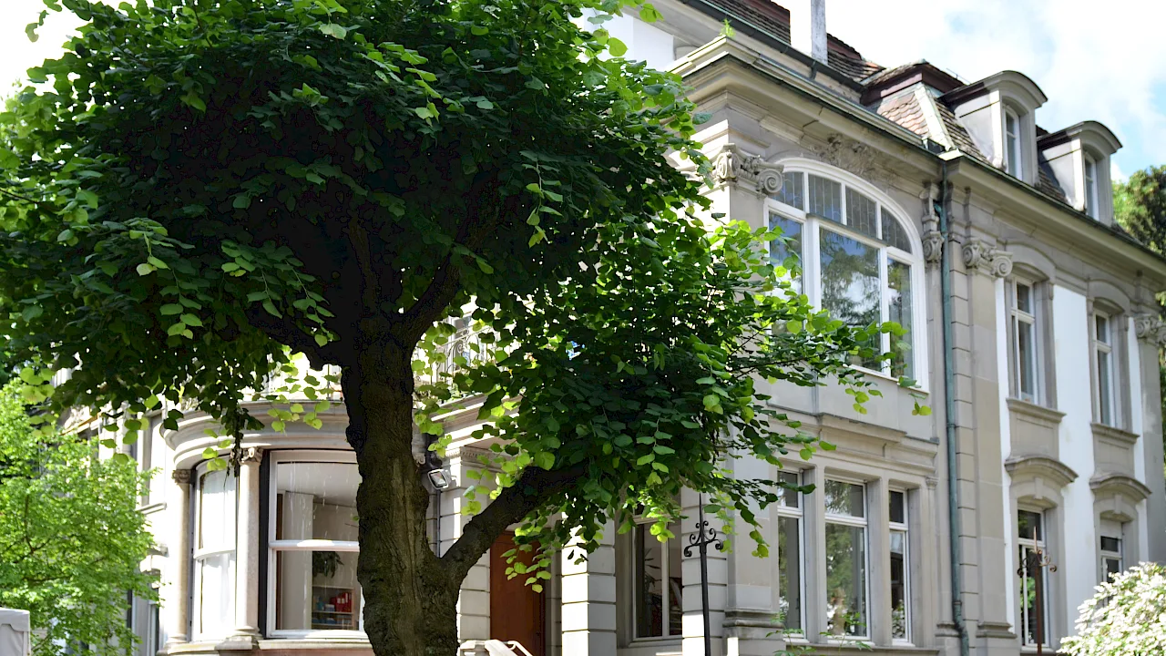 Rietberg Montessori School campus